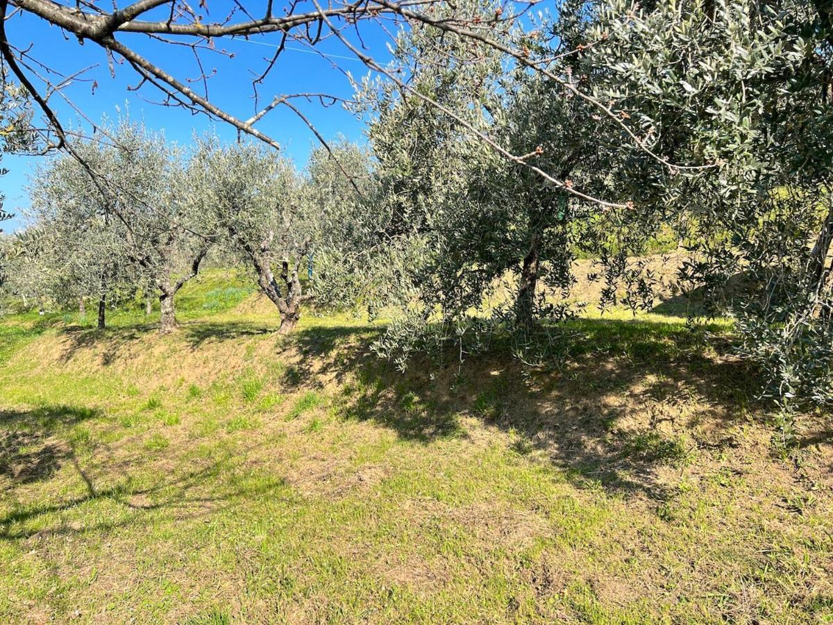 Casa Pozzi Villa Capannori Exterior photo